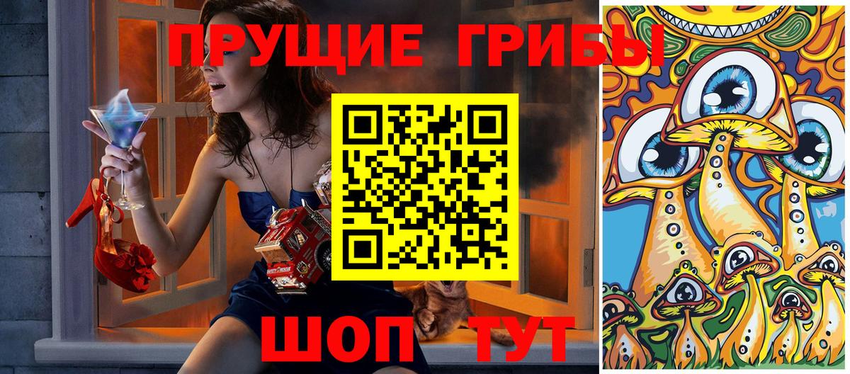 Галлюциногенные грибы Psilocybe Кольчугино