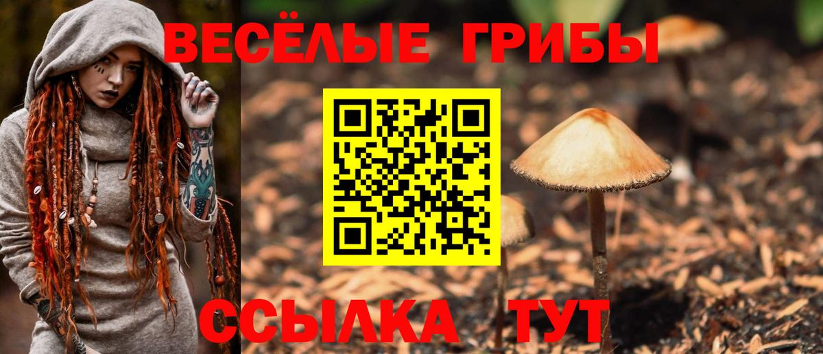 Галлюциногенные грибы MAGIC MUSHROOMS  Вход с VPN  Кольчугино 